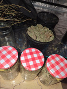 IMG_20250521_001024_338