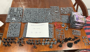 IMG-8294
