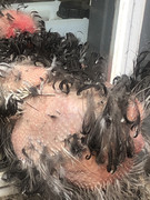 71CB677F-3891-4668-973F-370AF55AEAF2