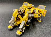 Premium-Finish-PF-SS-01-Bumblebee-01