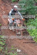 IMG-0334