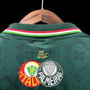 Palmeiras-Abel-4.jpg