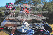 IMG-2535