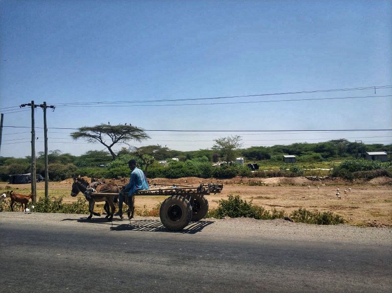 Etiopía. Tribus del sur, iglesias del norte y mucho mas - Blogs de Etiopia - Día 2 (7 octubre, domingo, 2018): Addis Abeba - Lago Langano (1)