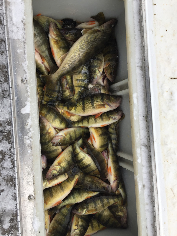 5ACF5844-4E05-45EC-9B98-690171E7E95B