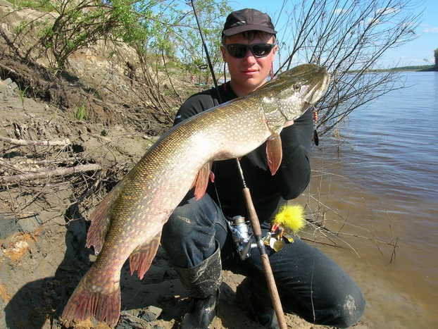 меченая ИОЕО авг 06 спиннинг