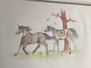 216FD99C-F35E-4EB8-B038-45EF55C4A37D