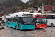 IMG-3384