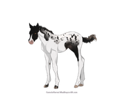 C88BBDA5-6ADB-4C2B-B111-CD7040BC05D0