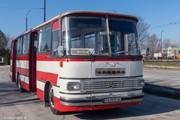 IMG-5593