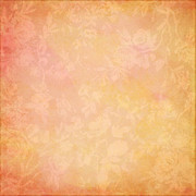 Tangerine-Winter-Kit-3