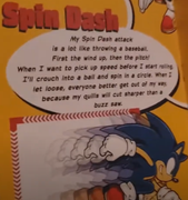 Welcome-To-The-World-Of-Sonic-(2018)-Page-10