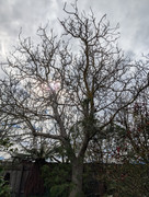 PXL-20250825-023613883