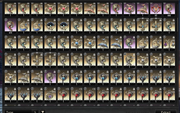 Screenshot-2026-10-19-233205