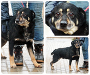 Be-Funky-collage-15.jpg&key=896bdba3741c