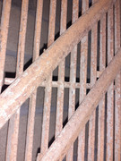 20201125-203146.jpg