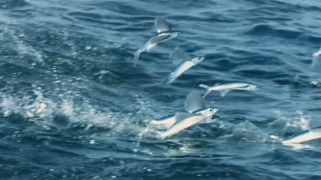 [Image: mfqsxr9tg695.jpg]