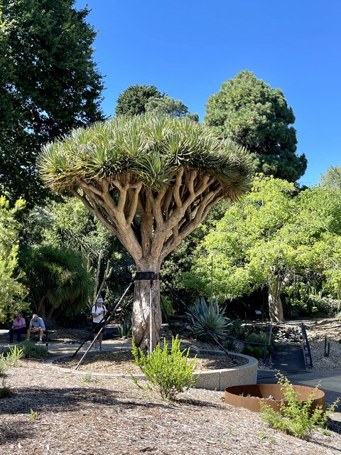 [Linked Image from i.postimg.cc]