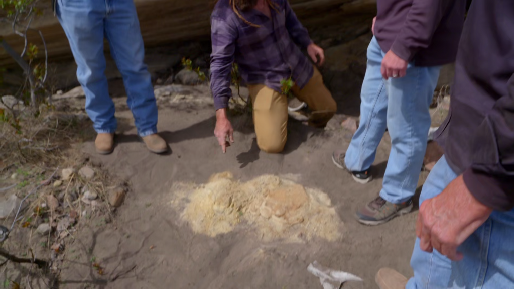 [Image: jxfot0e9u17n.png]