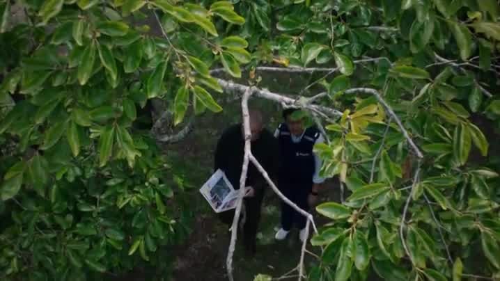 [Image: z9ey24jd0ase.jpg]