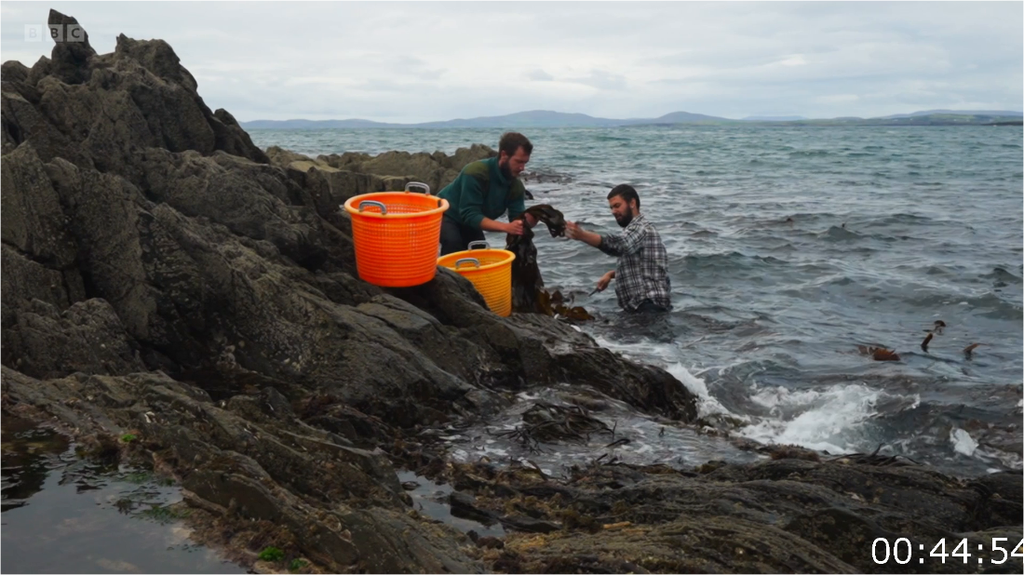 [Image: 3e0ivu3l9gen.png]