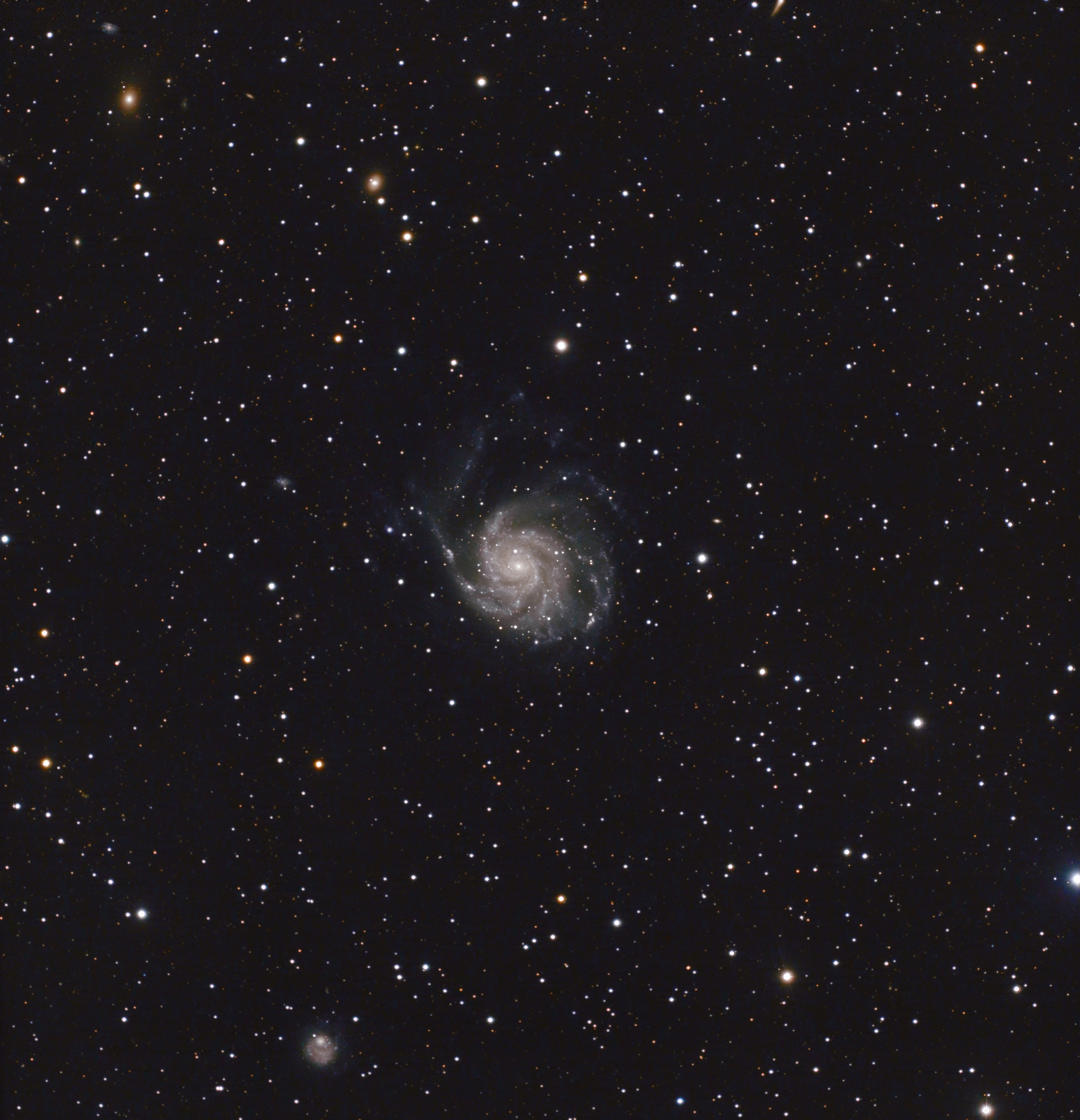 m101-semi-final-couleur.jpg