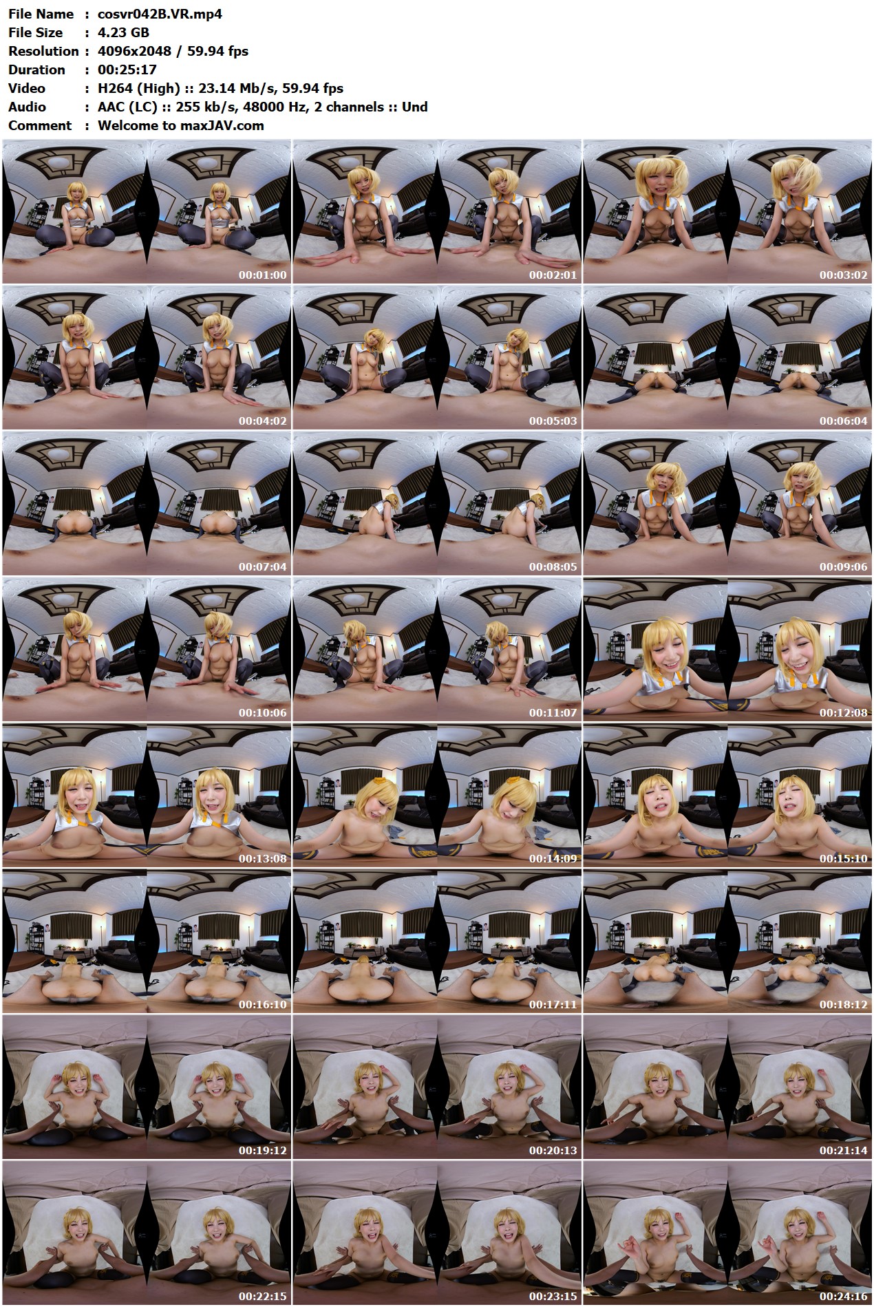 cosvr042-B
