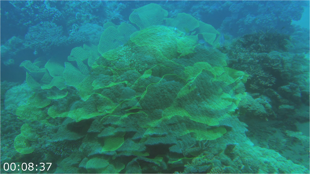 [Image: f4il4zv7g1wi.png]