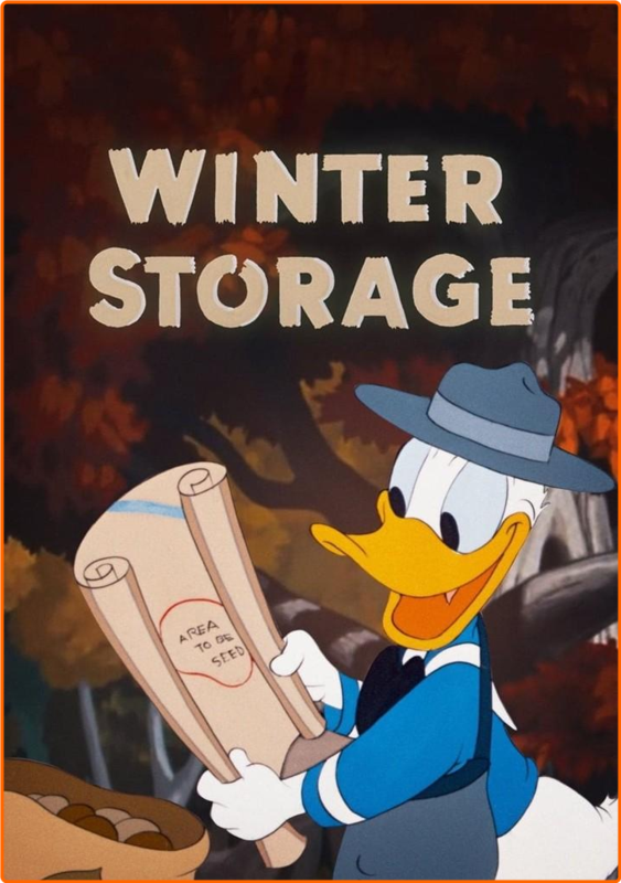 xa2qgq2o59qj.png