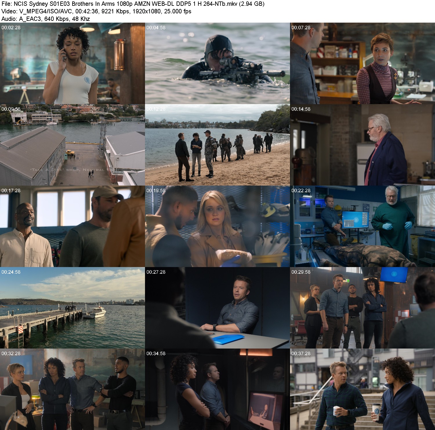 [Image: 11dxk76haqsv.jpg]