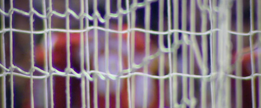 [Image: psxsja7565aw.png]