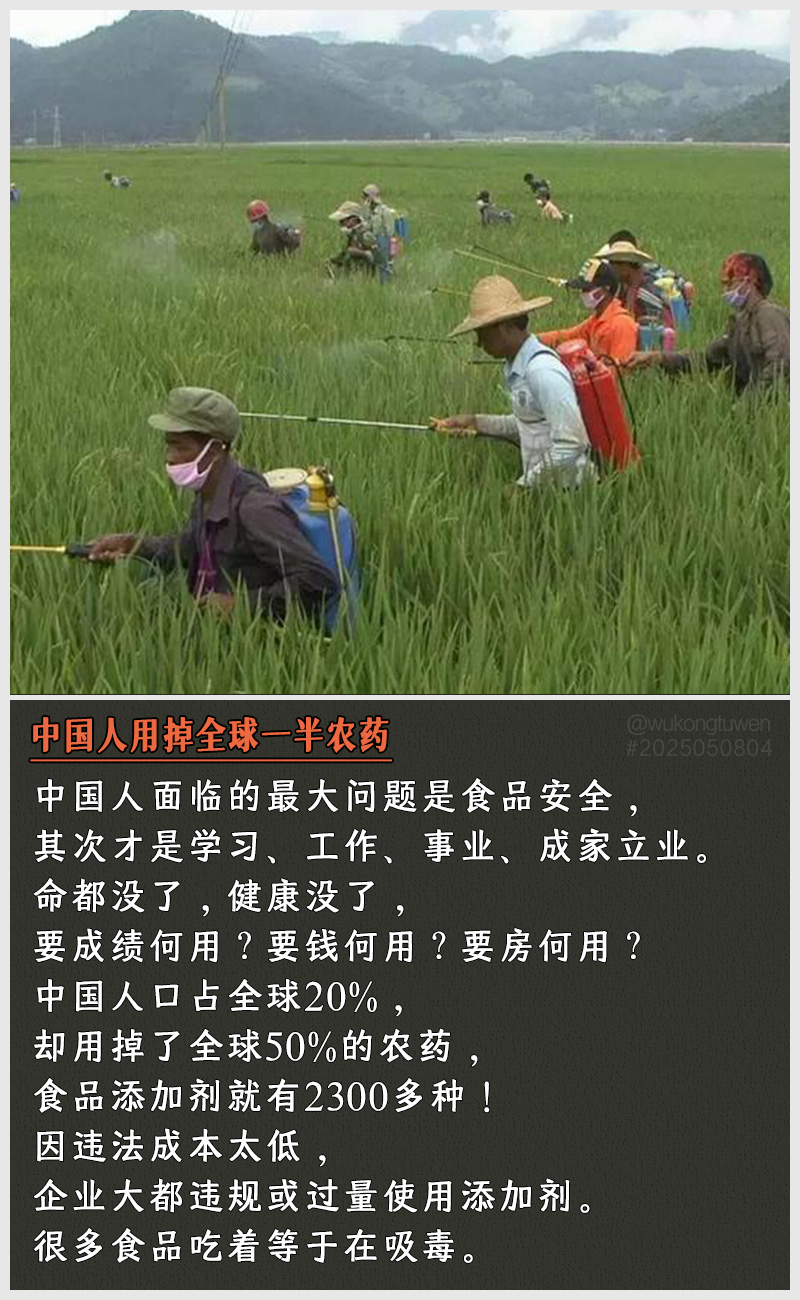 https://i.postimg.cc/Skc9sfKf/2025050804.jpg