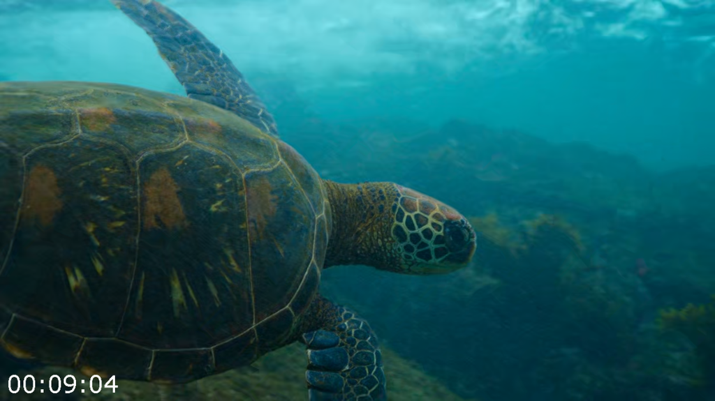 [Image: 1cvtd9u57gri.png]