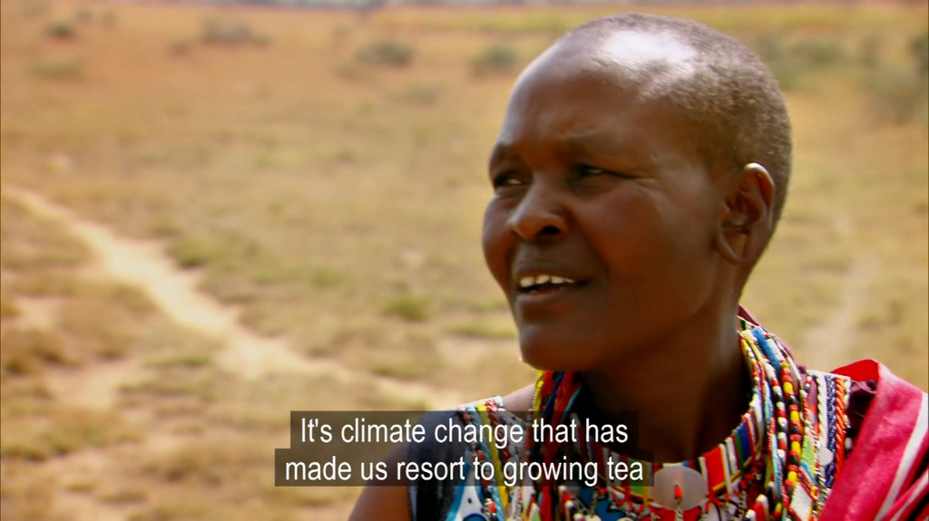 [Image: t13j6zzqiib0.png]