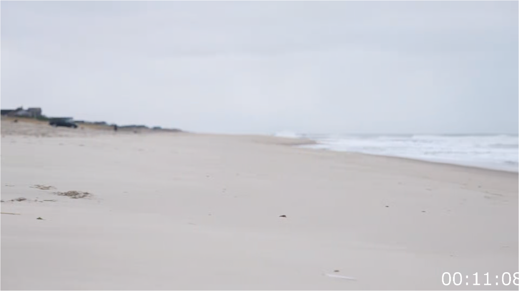 [Image: gd4so1m3uiz8.png]