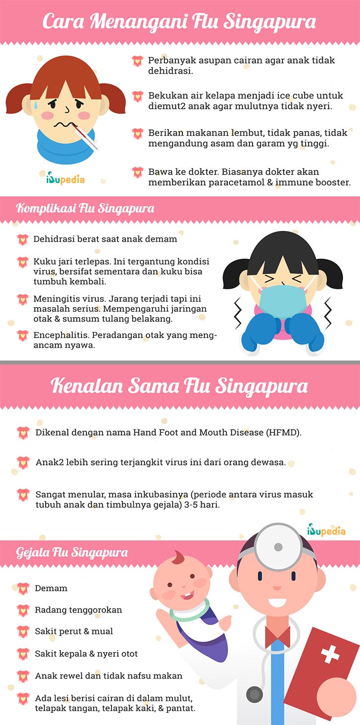 Infografis Flu Singapura
