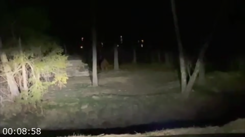 [Image: 58g0rmpe9alh.png]