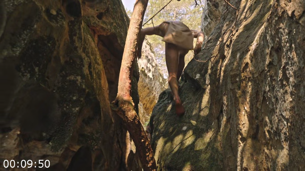 [Image: 86fm7pzkn9aa.png]