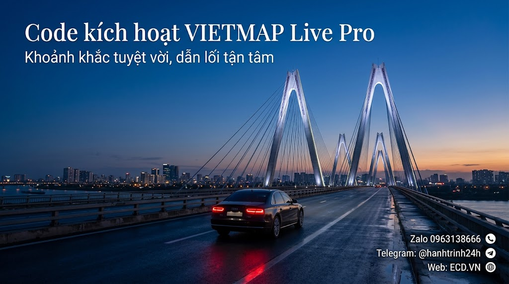 vietmap pro everyday driving