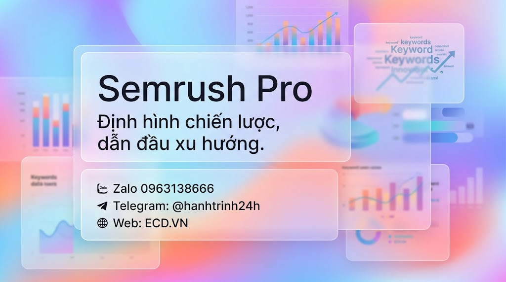 semrush pro cho agency