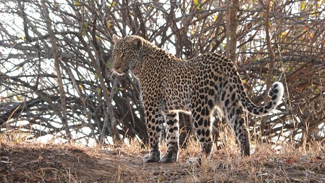 [Linked Image from i.postimg.cc]