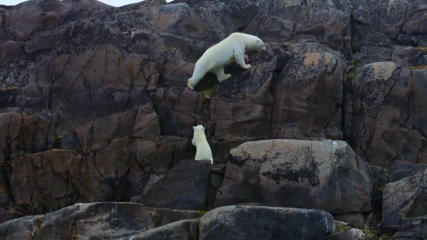 [Image: 6kaes8ta2wf5.jpg]