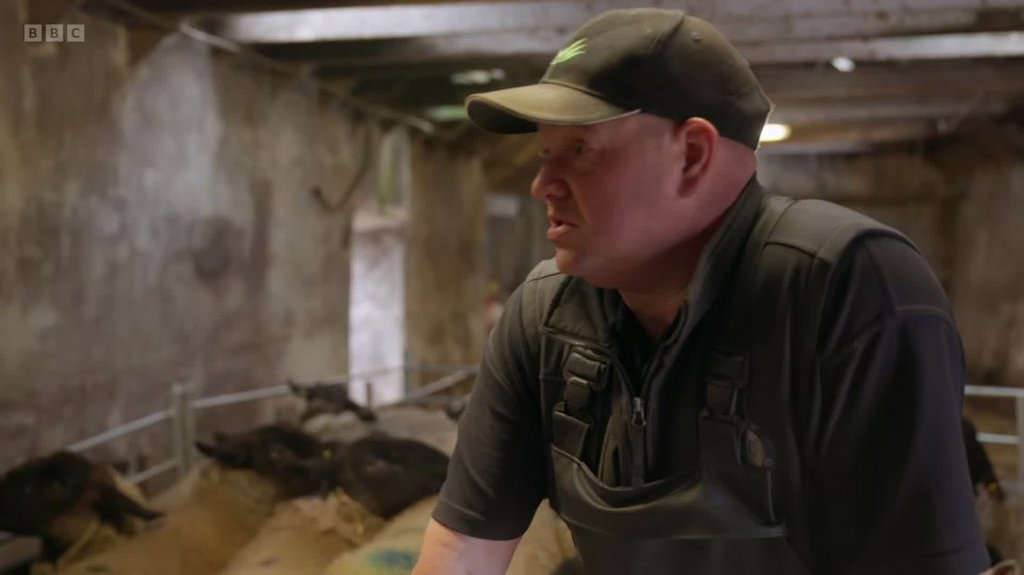 [Image: kx5pb4xv69lv.jpg]