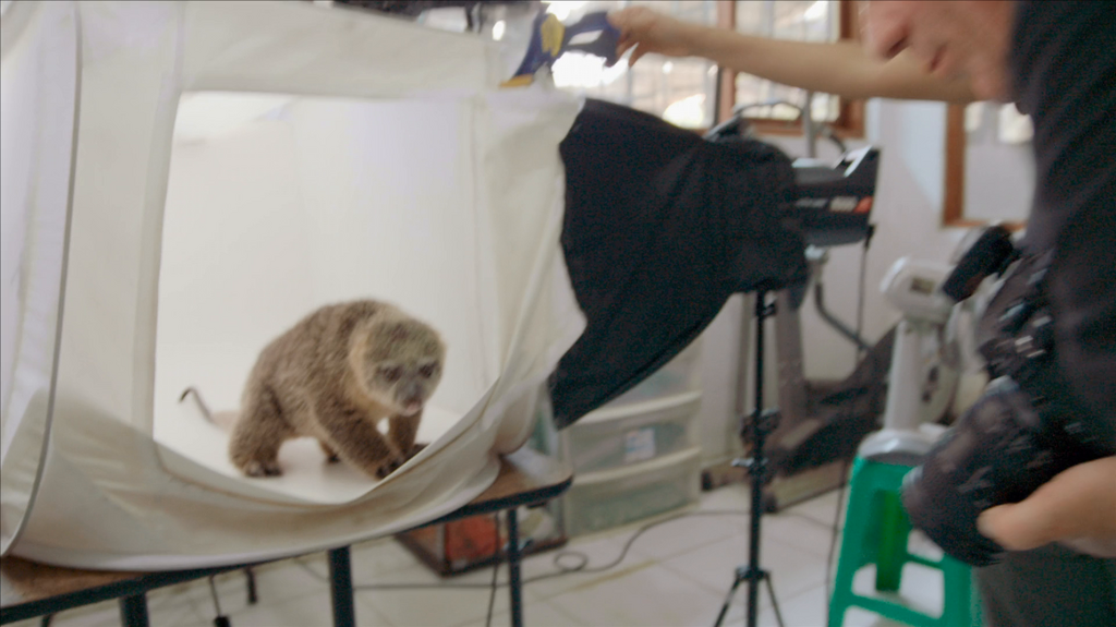 [Image: z8j9a9bfl3xg.png]