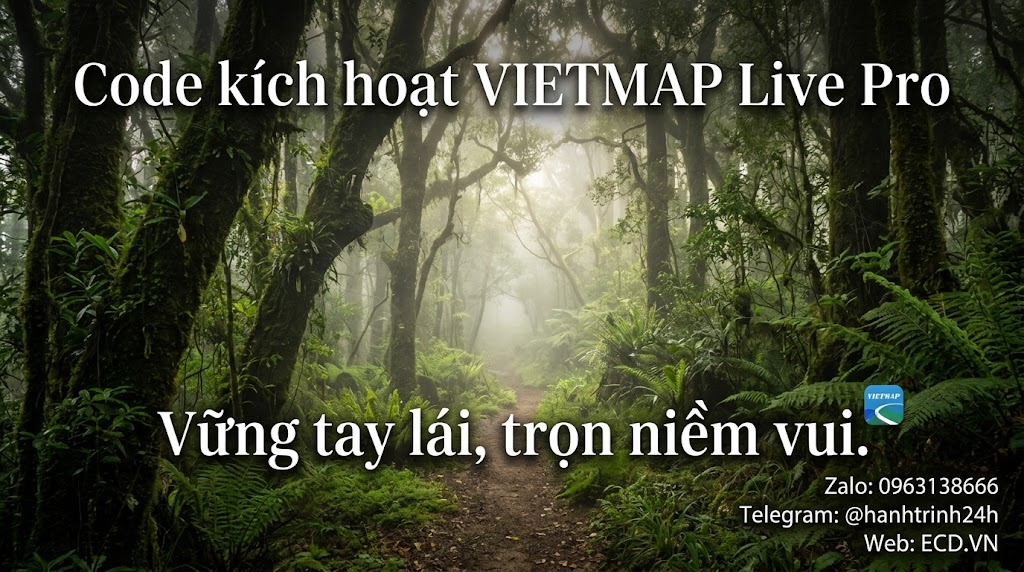 active code vietmap pro