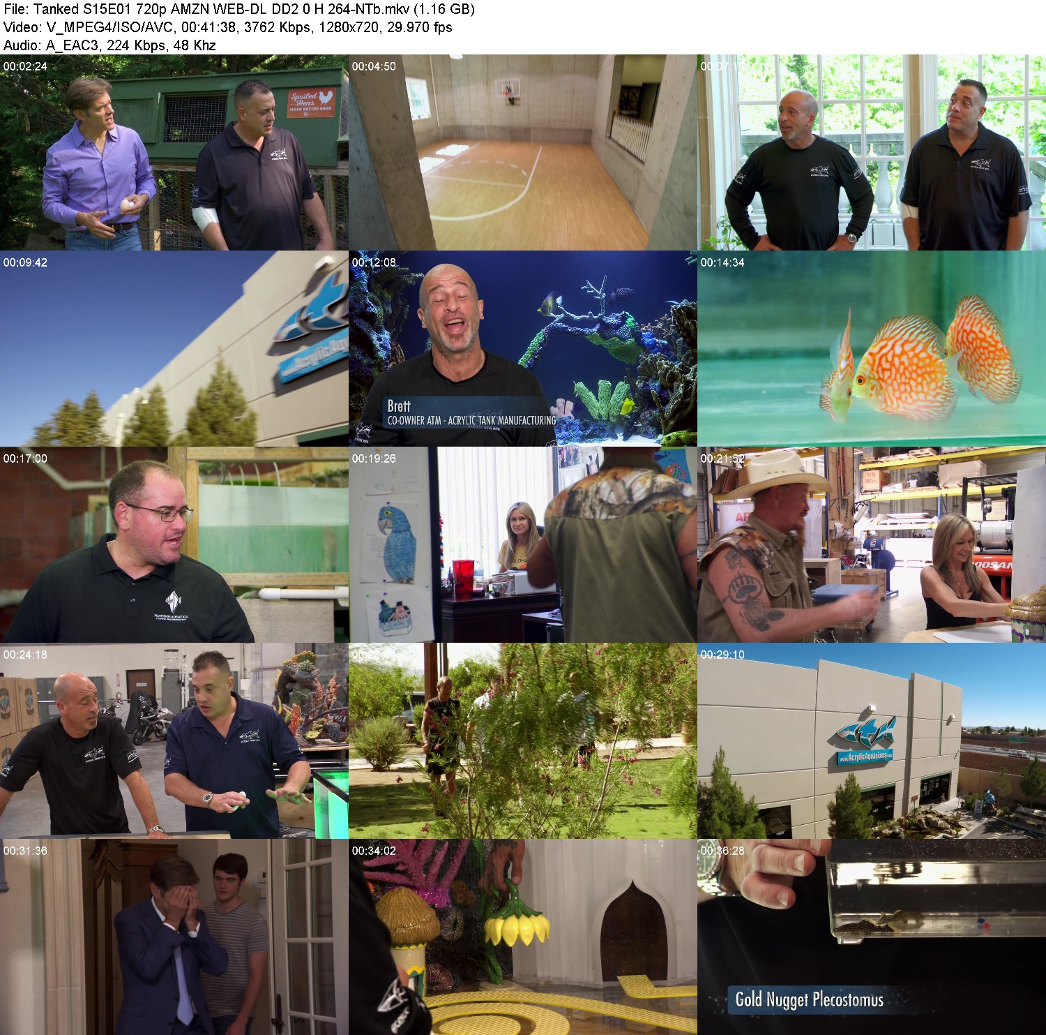 [Image: 9w964ghaeccz.jpg]