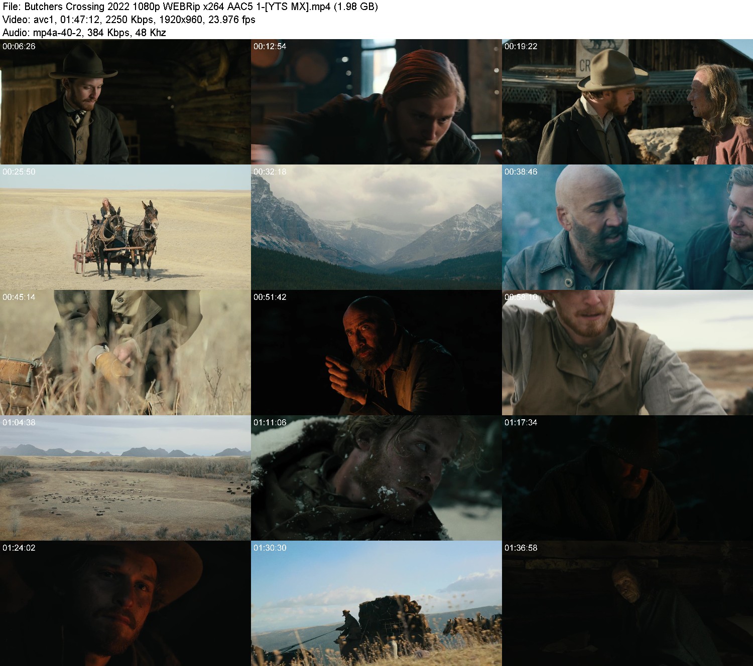 [Image: u5utx22xsp2d.jpg]