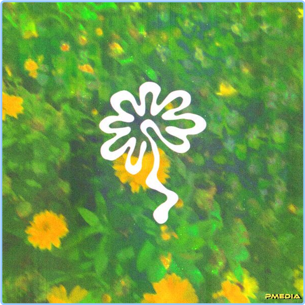 [Image: 4p4sd9g1prvj.png]