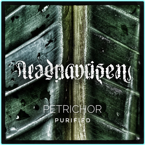 [Image: o2ls5d6u9nzu.png]