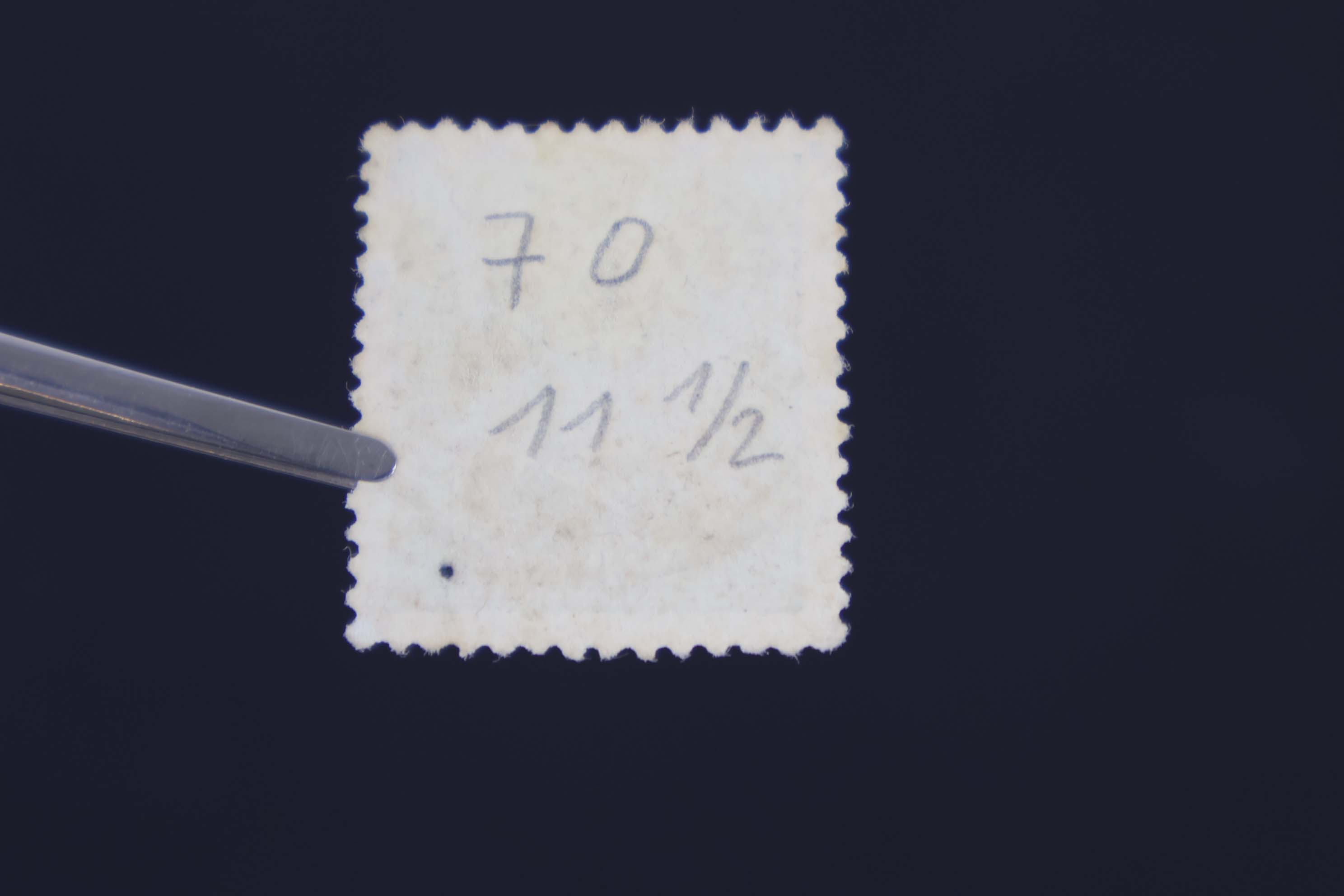 IMG-6456-1-(3)